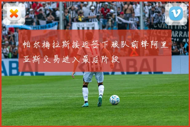 帕尔梅拉斯接近签下狼队前锋阿里亚斯交易进入最后阶段