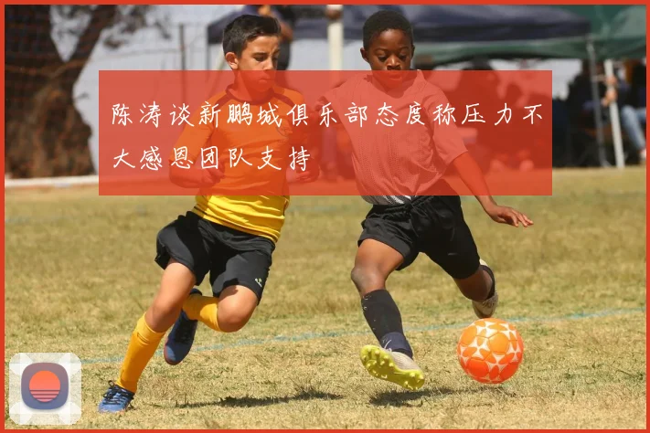 陈涛谈新鹏城俱乐部态度称压力不大感恩团队支持