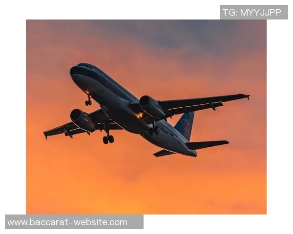 尤文图斯归途艰难机场跑道结冰导致多次航班延误